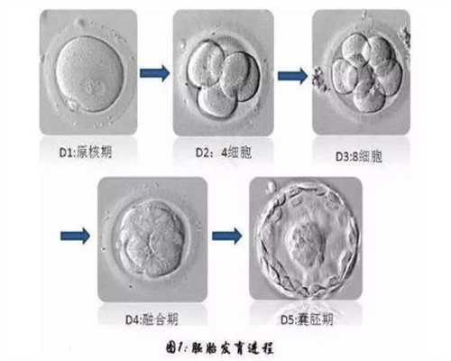 广州借腹生子费用-广州微信找供卵试管-【不孕不育基地，生命诞生奇迹】