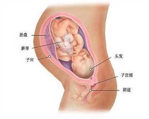 广州到哪找供卵试管母亲-广州试管代孕男的要做什么-【福地真情在，携手好“