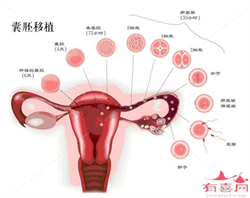 试管代孕男女比例-试管代孕妈价格表_中国供卵试管一次需要多少钱-供卵试管中