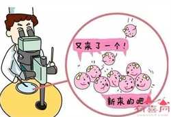 佛山代怀合法的国家，广州试管婴儿精子洗涤技术帮助你获得好孕
