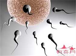 供卵试管生宝宝机构，子宫内膜结核会引起女性不孕吗